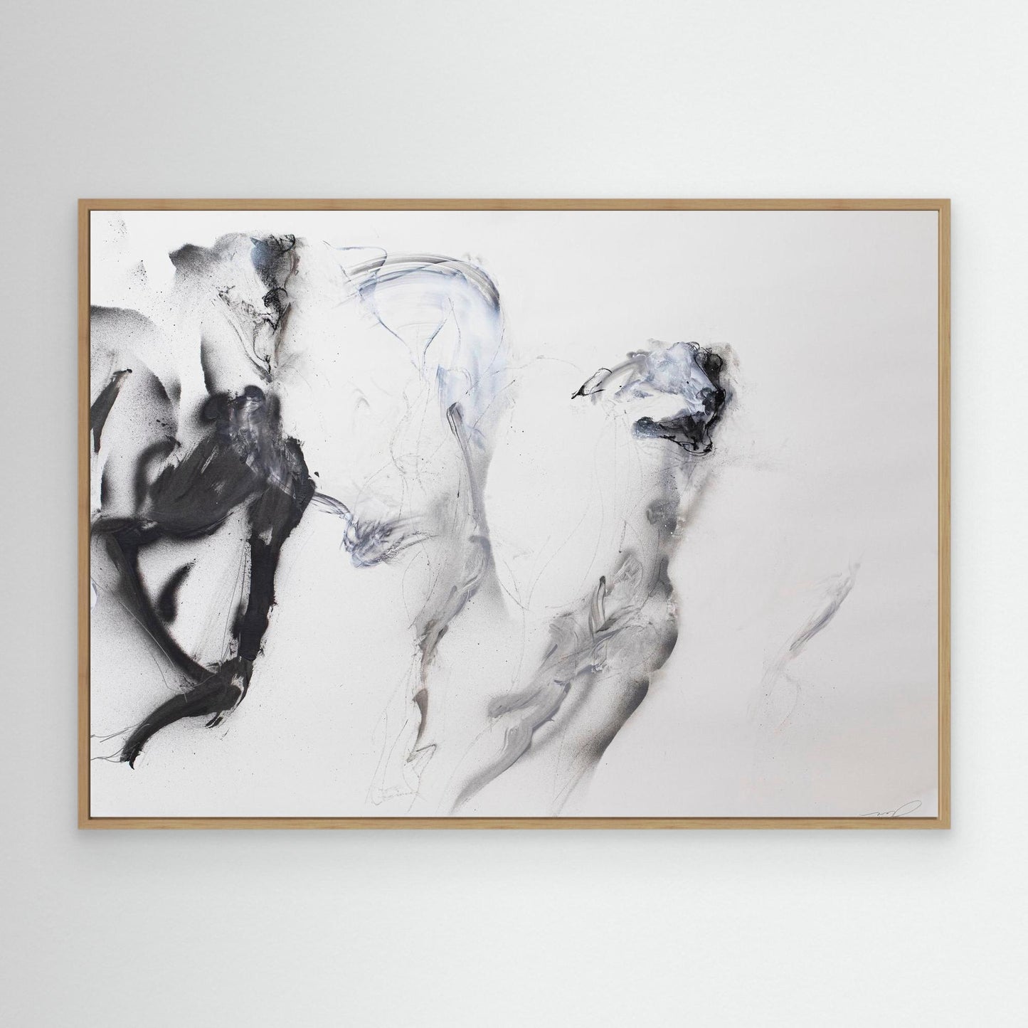 Galgos 8