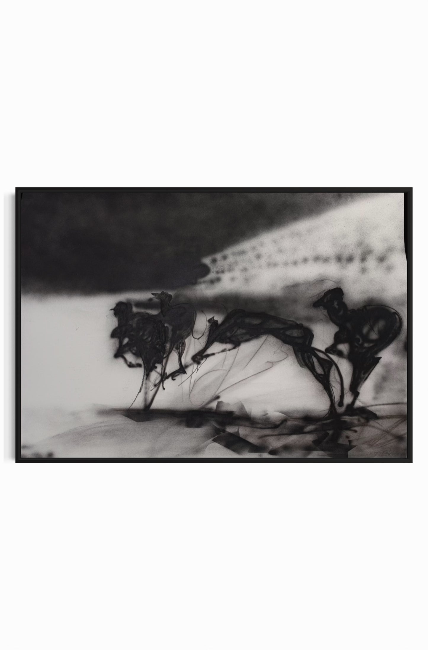 Canvas Print: "Canódromo 3"