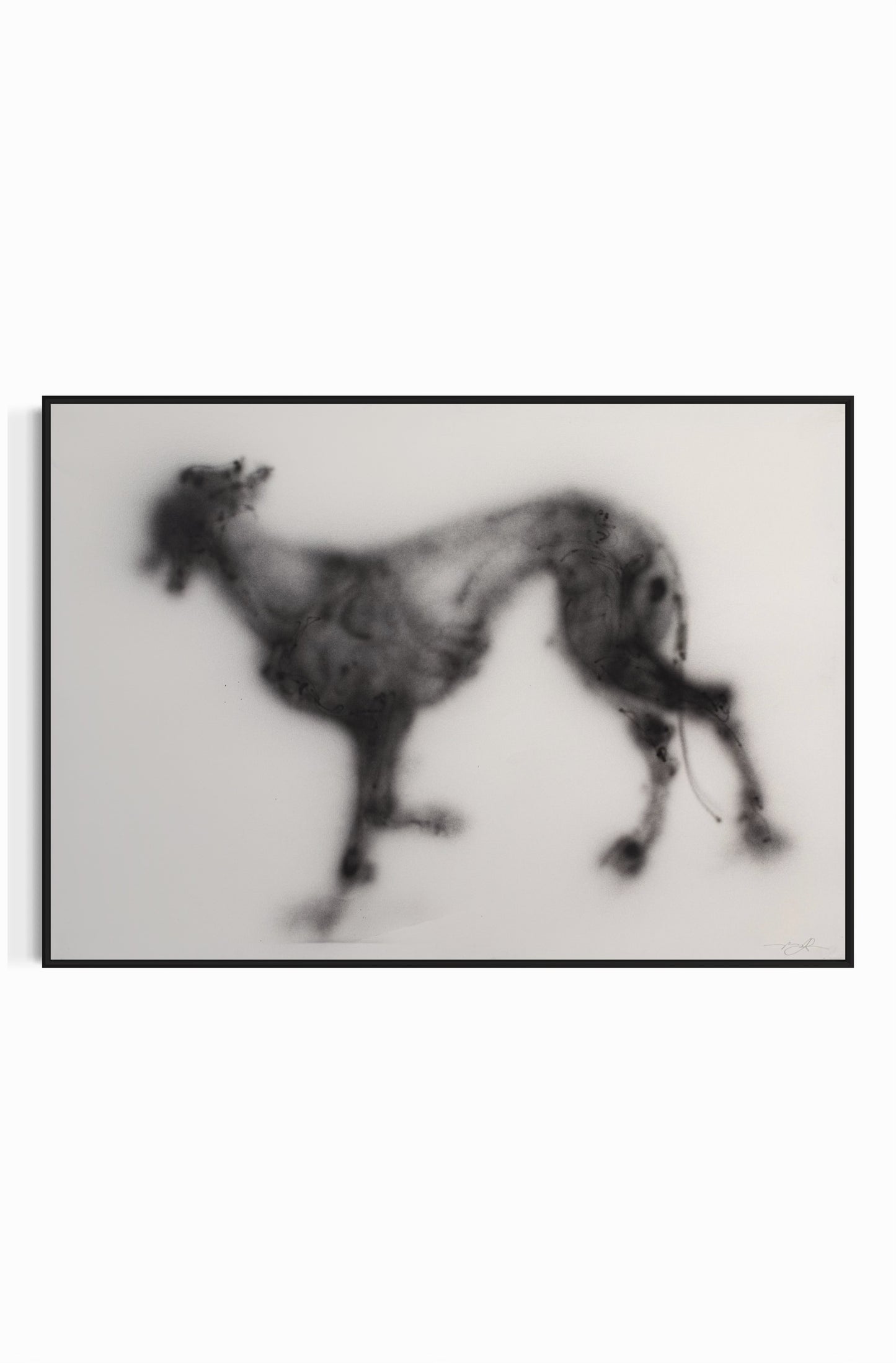 Canvas Print: "Canódromo 9"