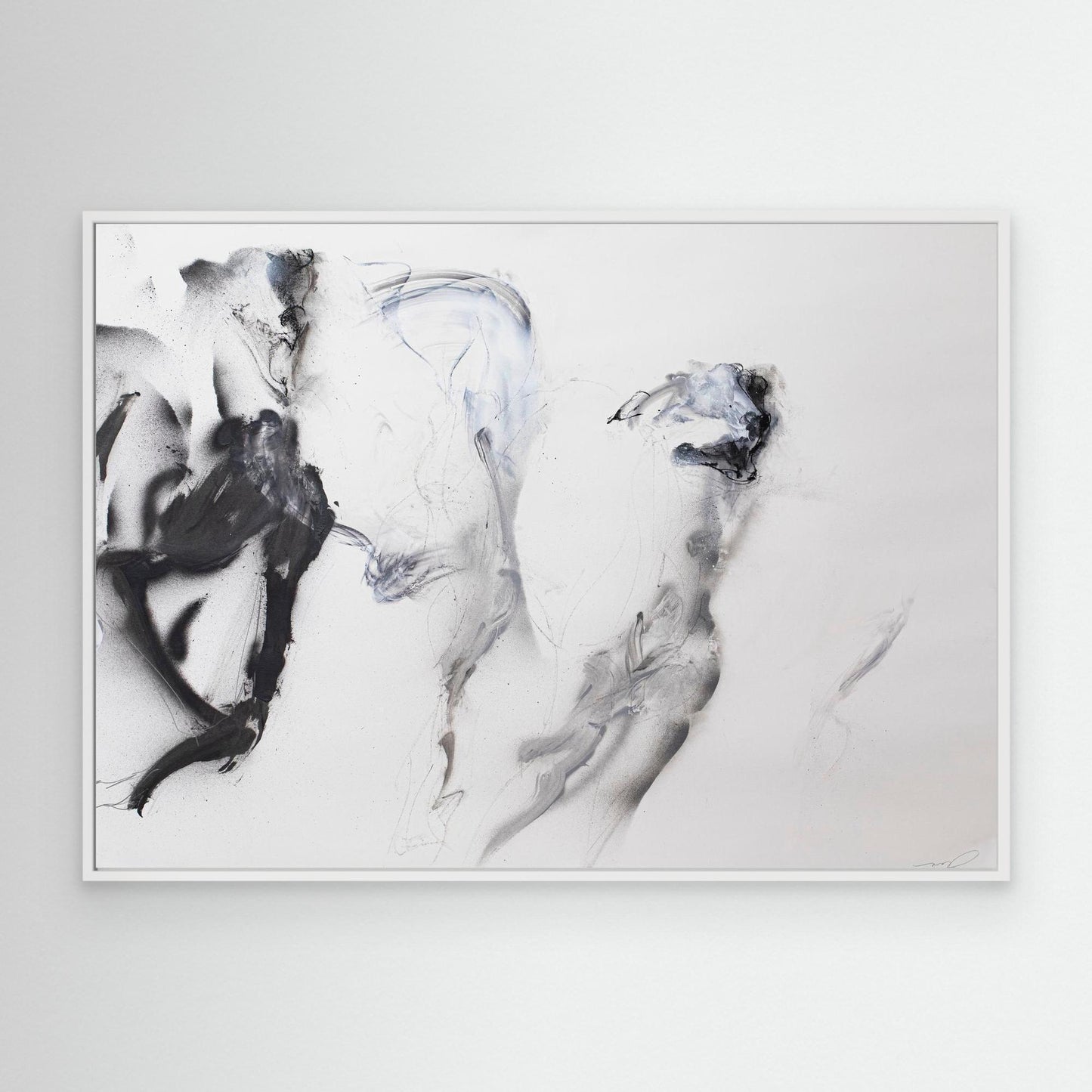 Galgos 8