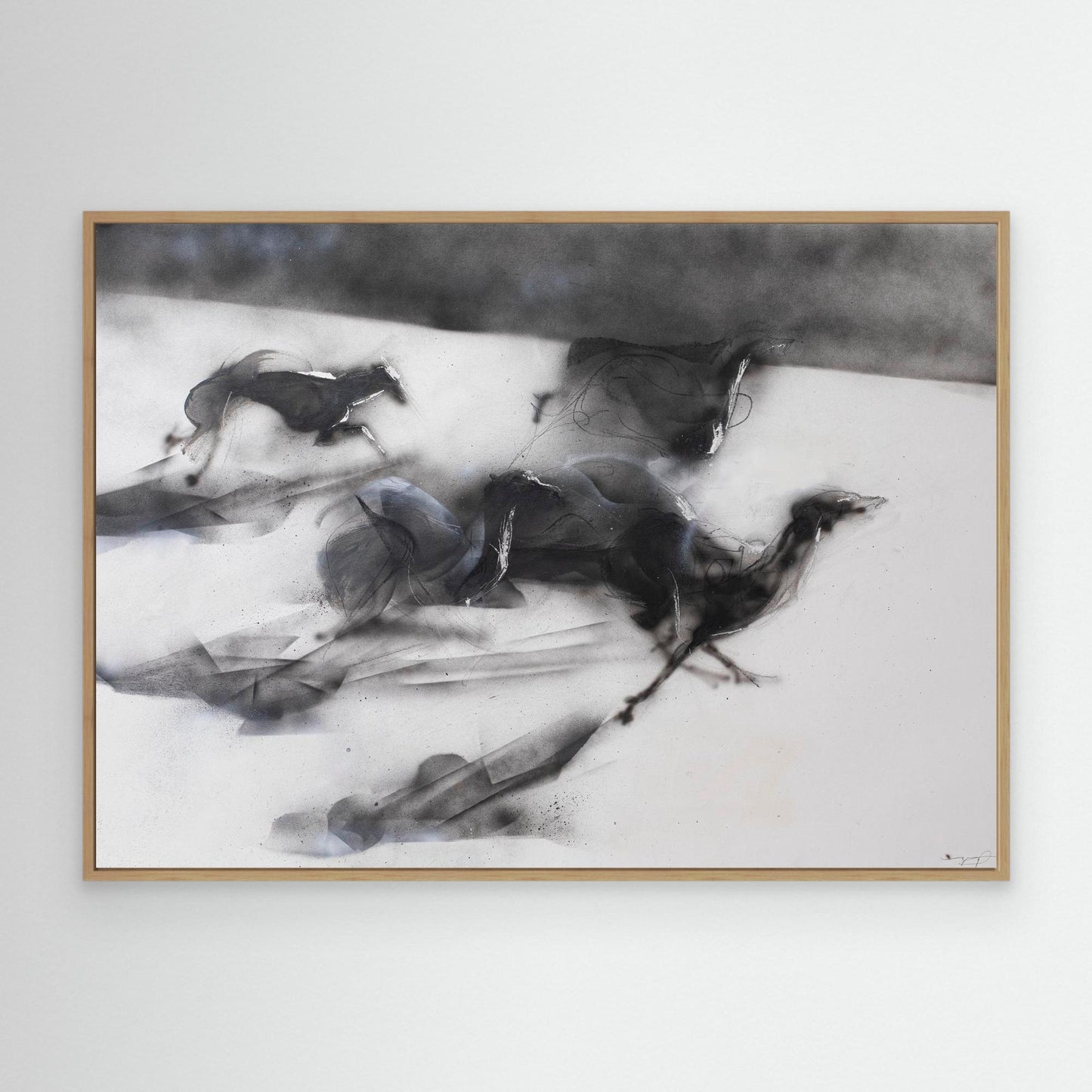 Galgos 4