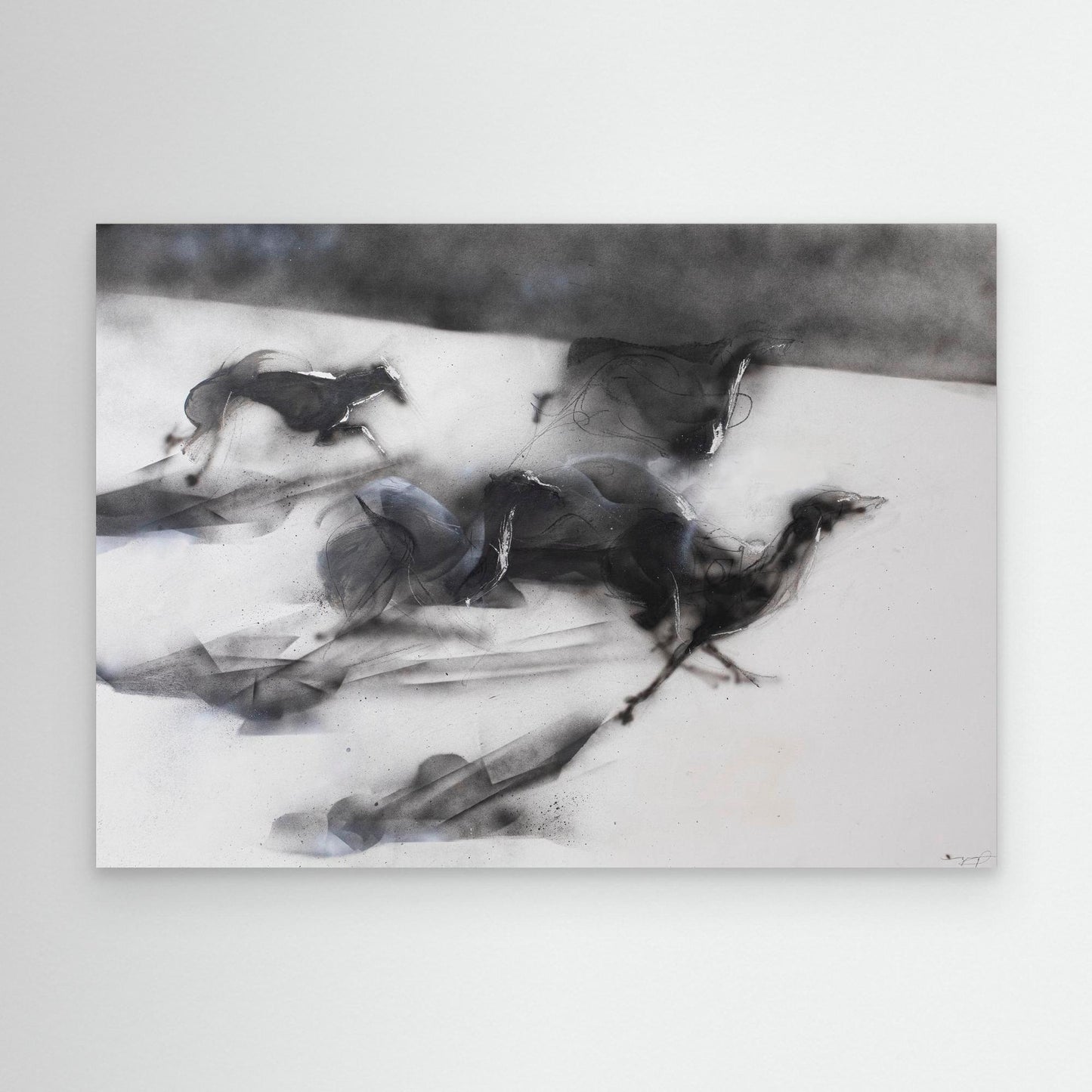 Galgos 4