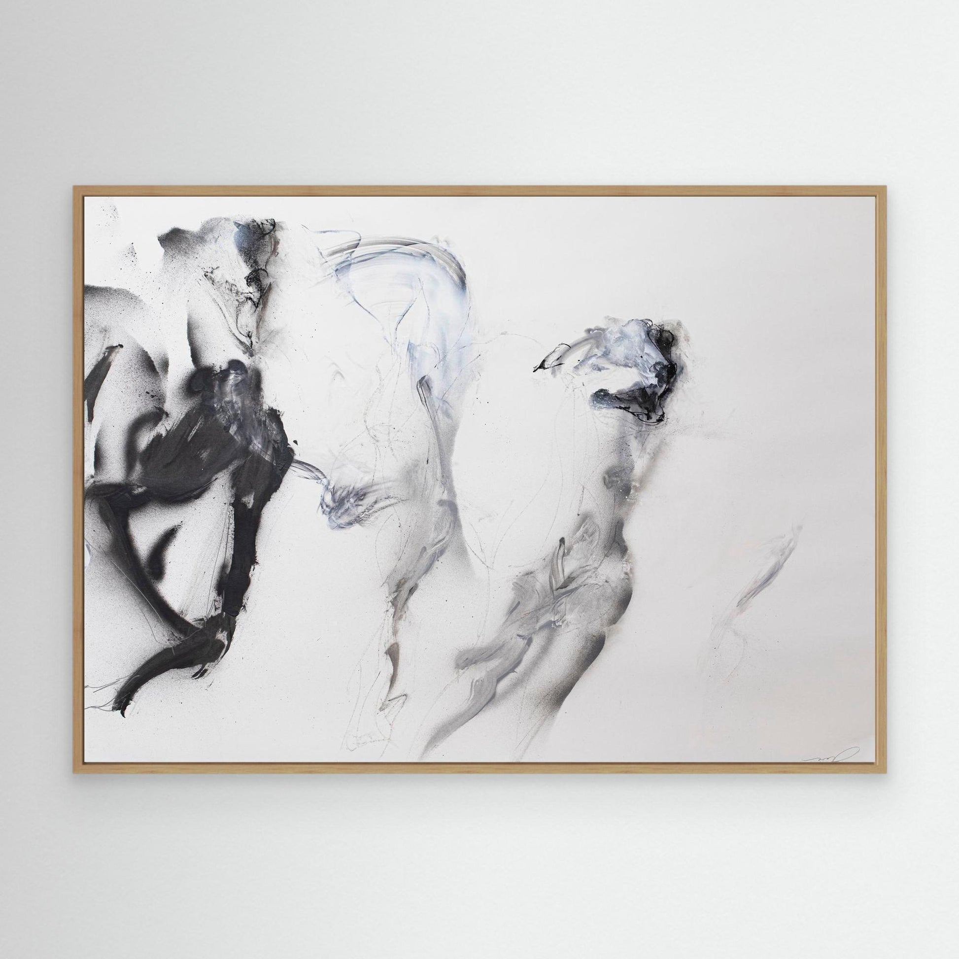 Galgos 8