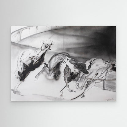 Galgos 5