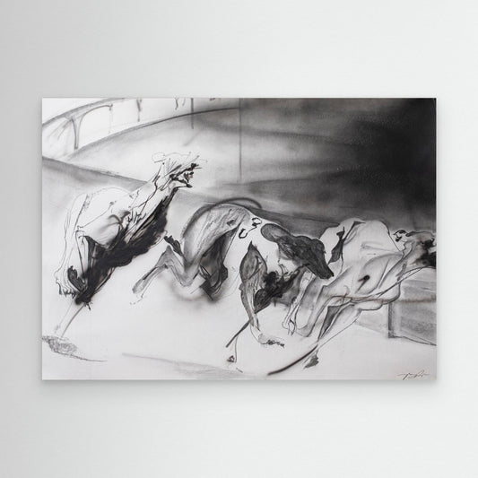 Galgos 5