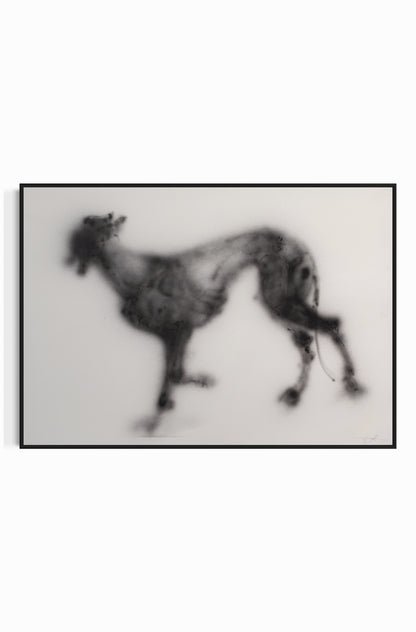 Canvas Print: "Canódromo 9"