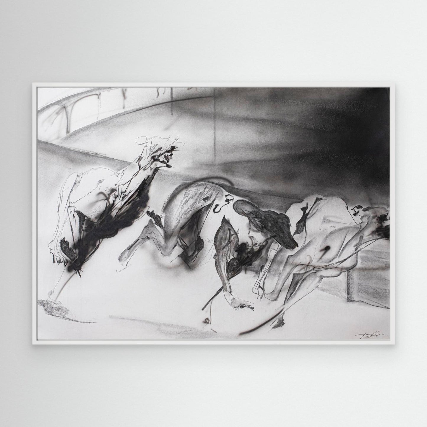Galgos 5