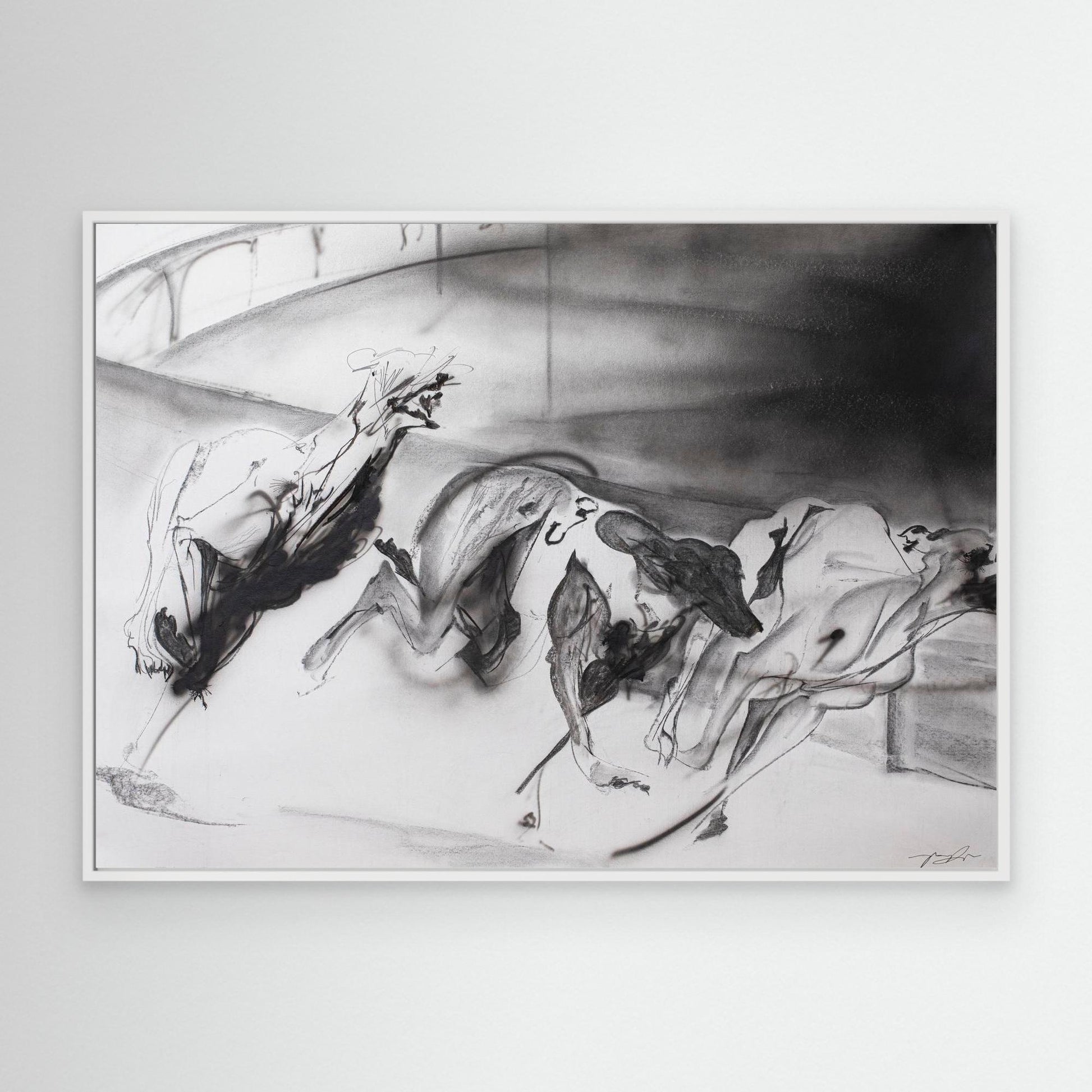 Galgos 5
