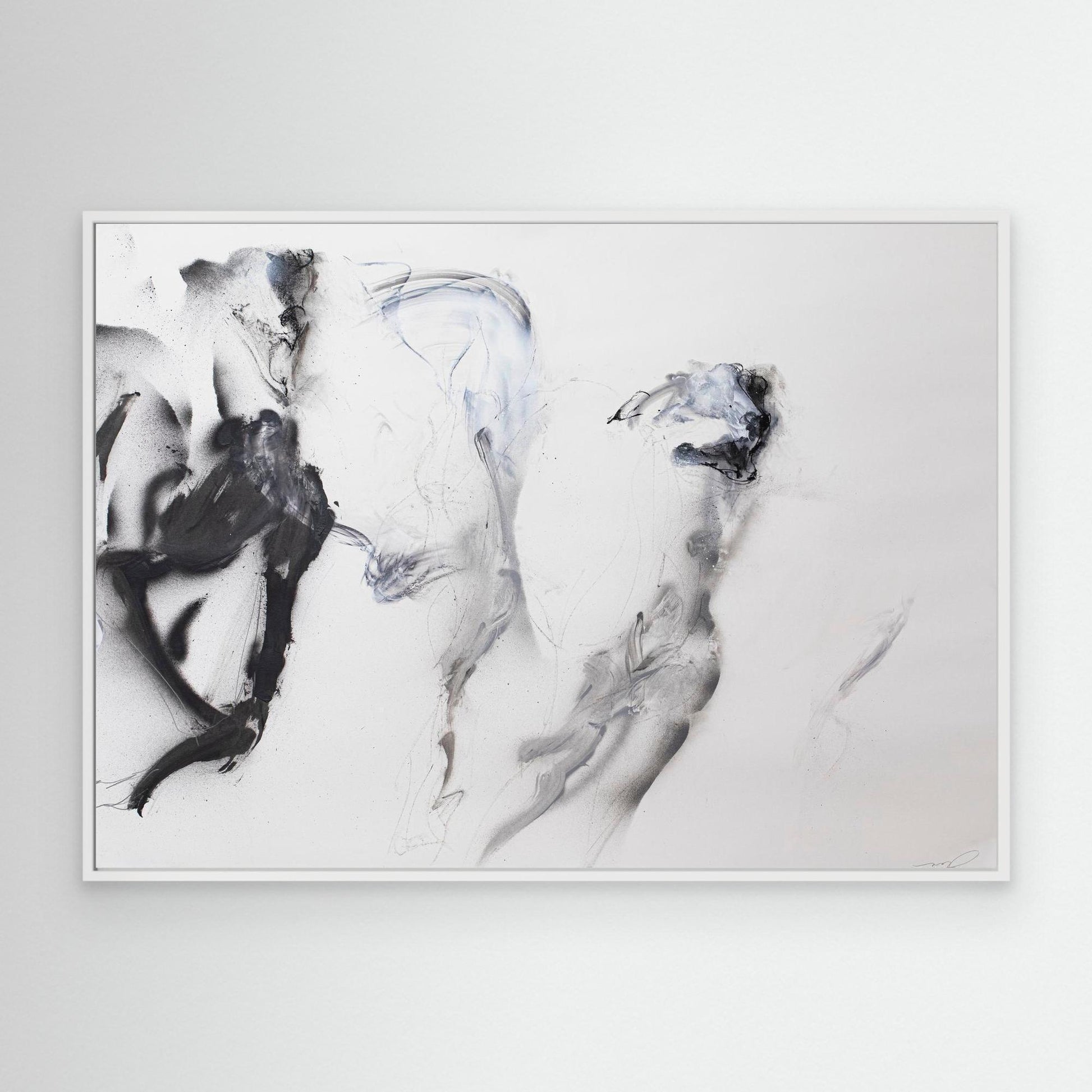 Galgos 8