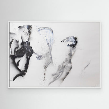 Galgos 8