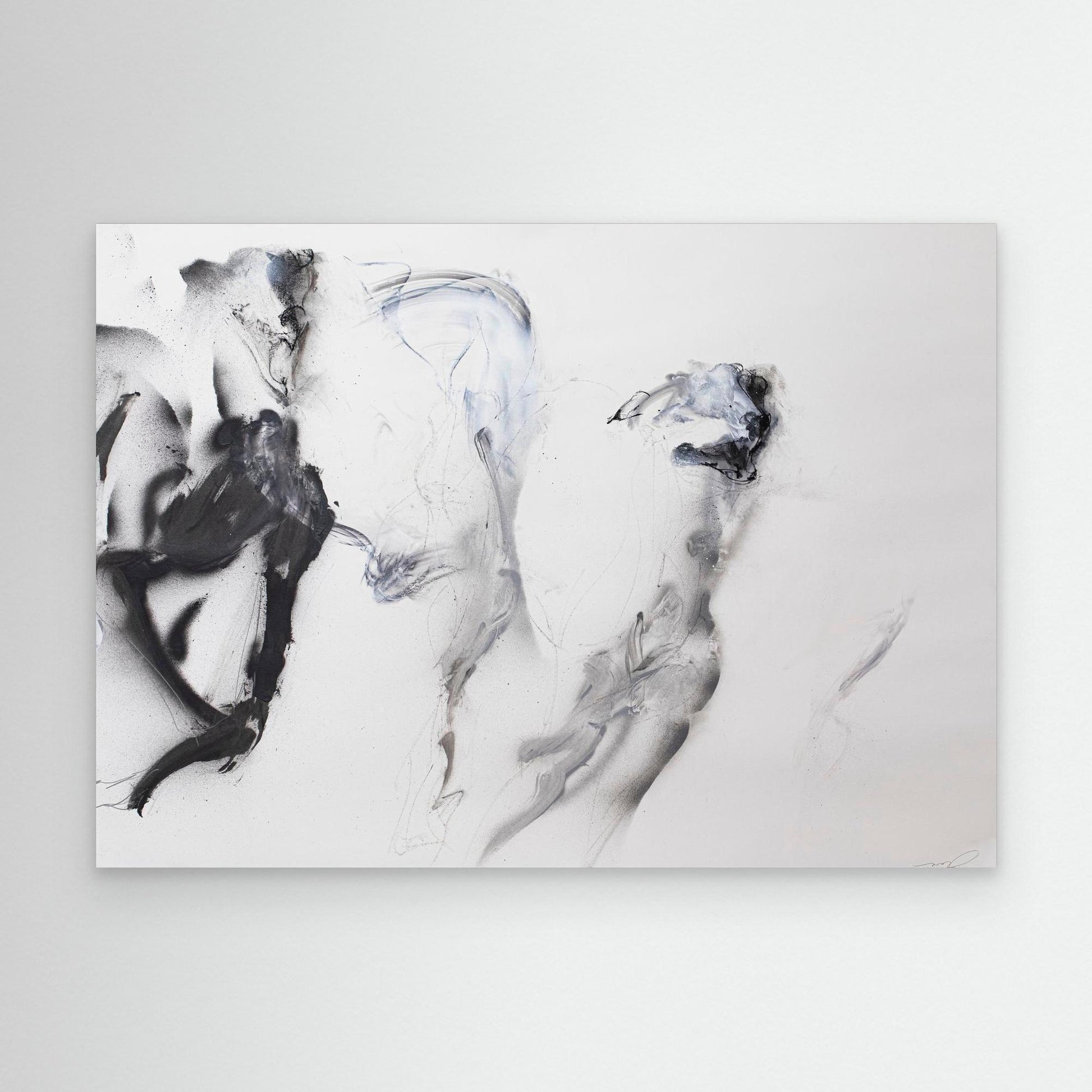 Galgos 8