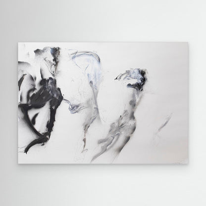 Galgos 8