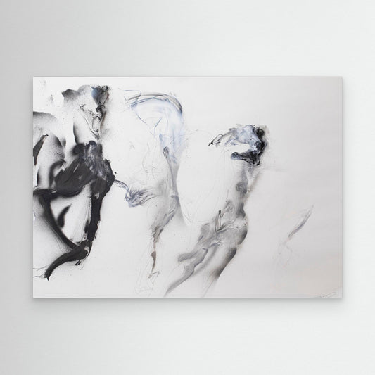 Galgos 8