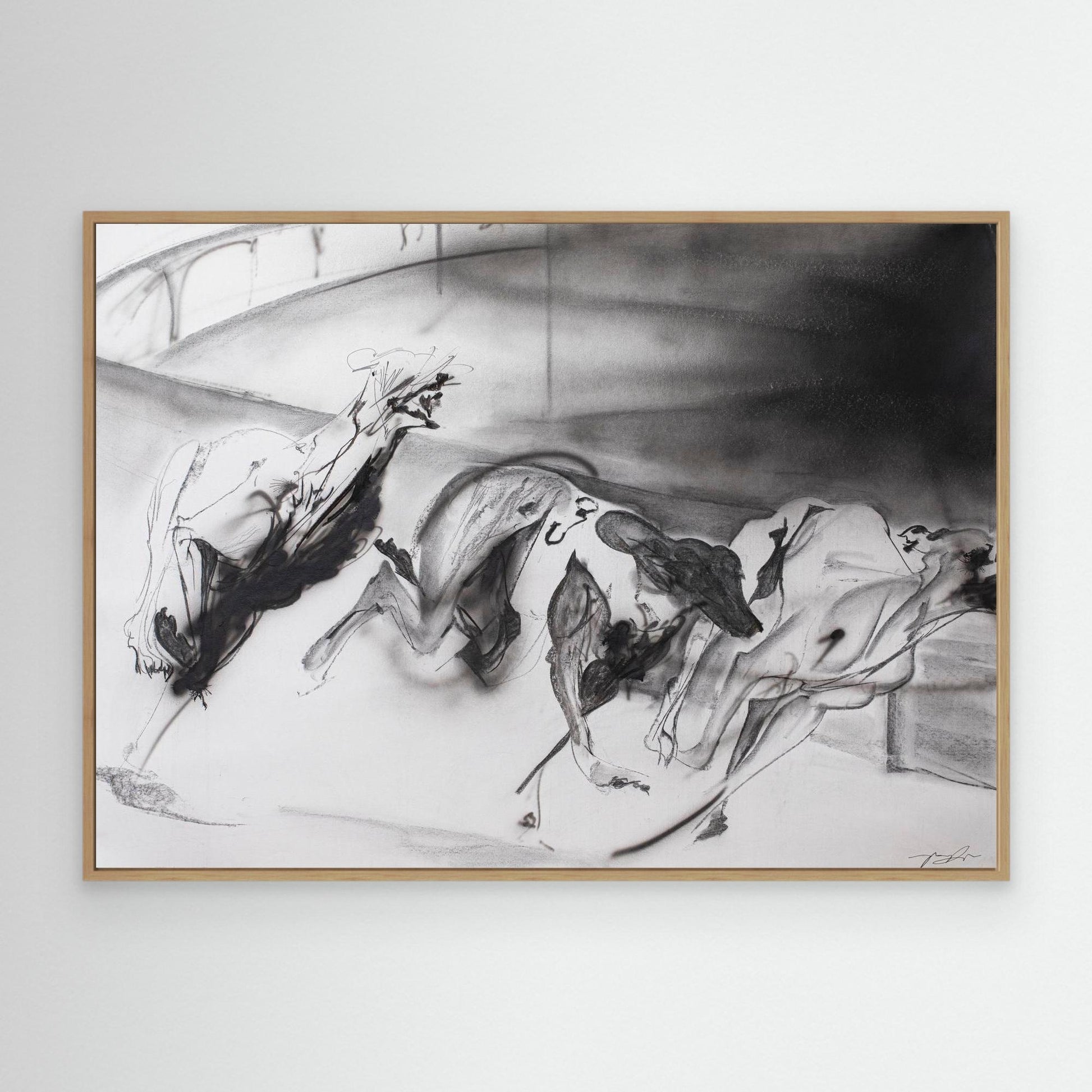 Galgos 5