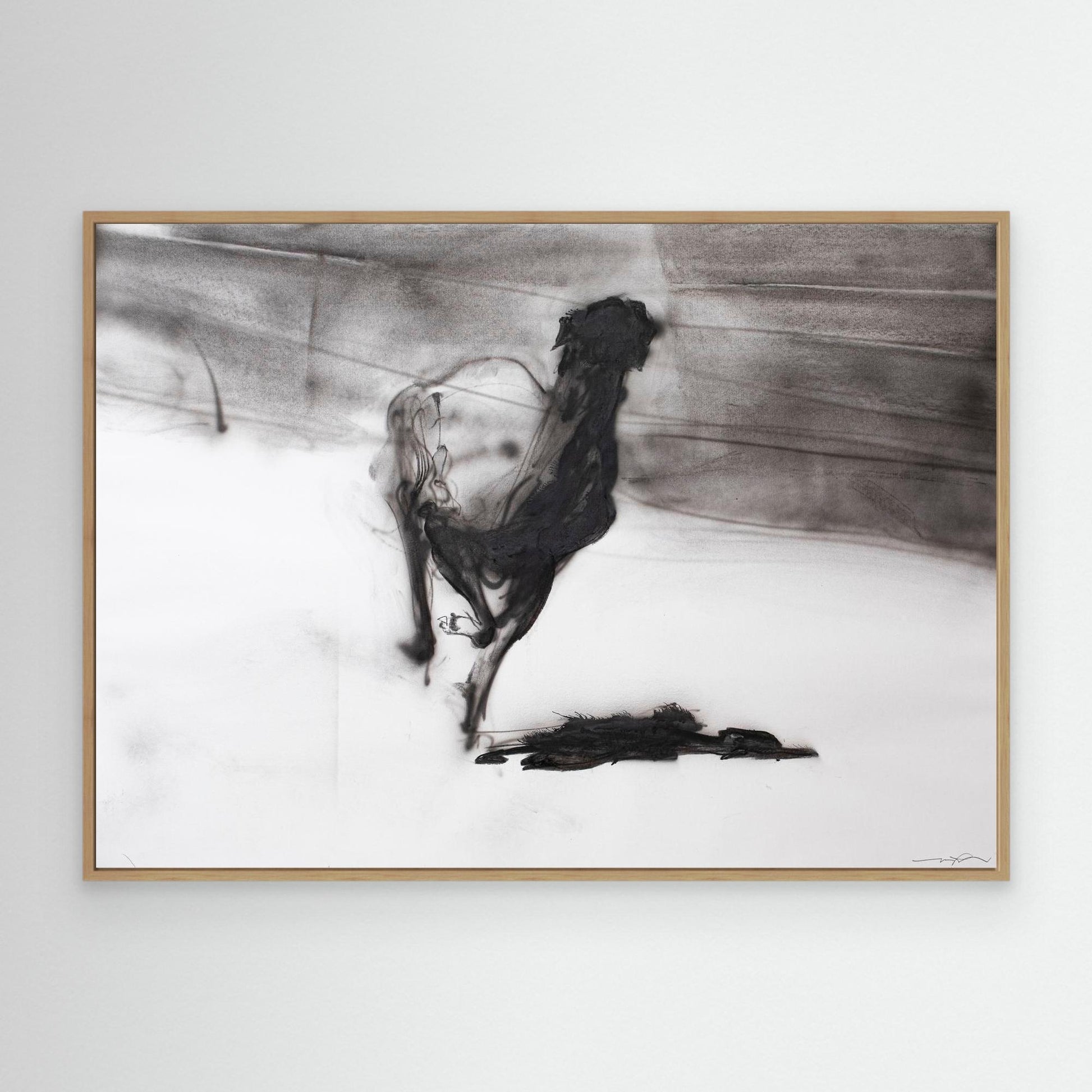 Galgos 9