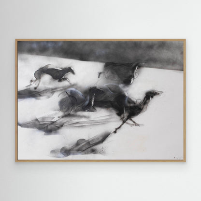 Galgos 4