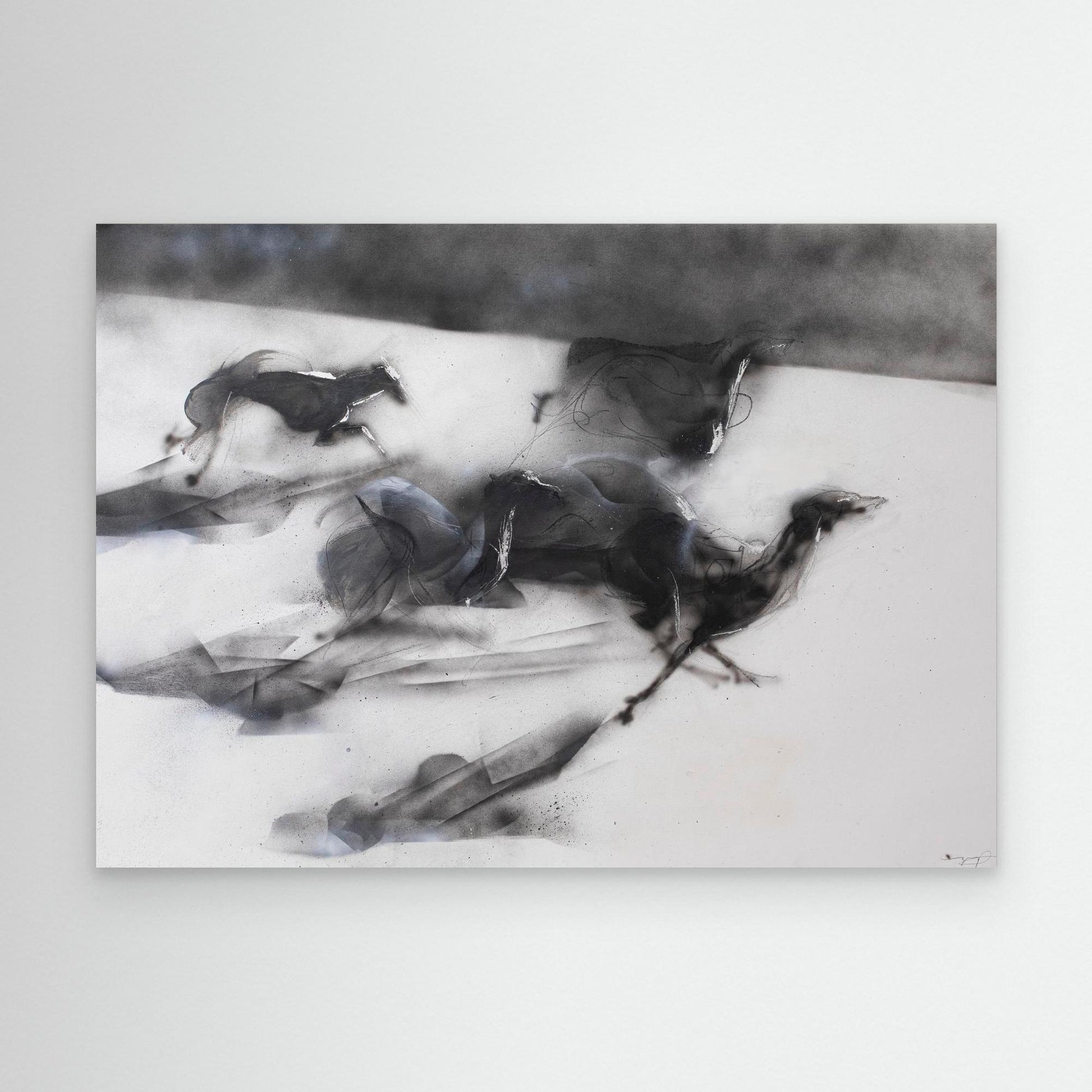 Galgos 4