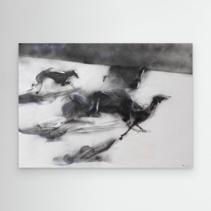 Galgos 4