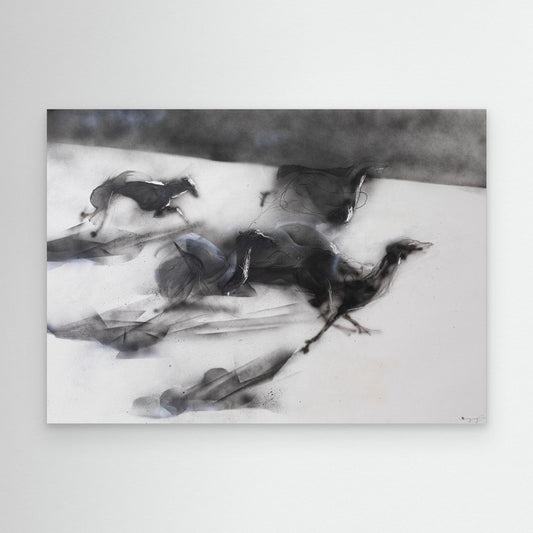 Galgos 4