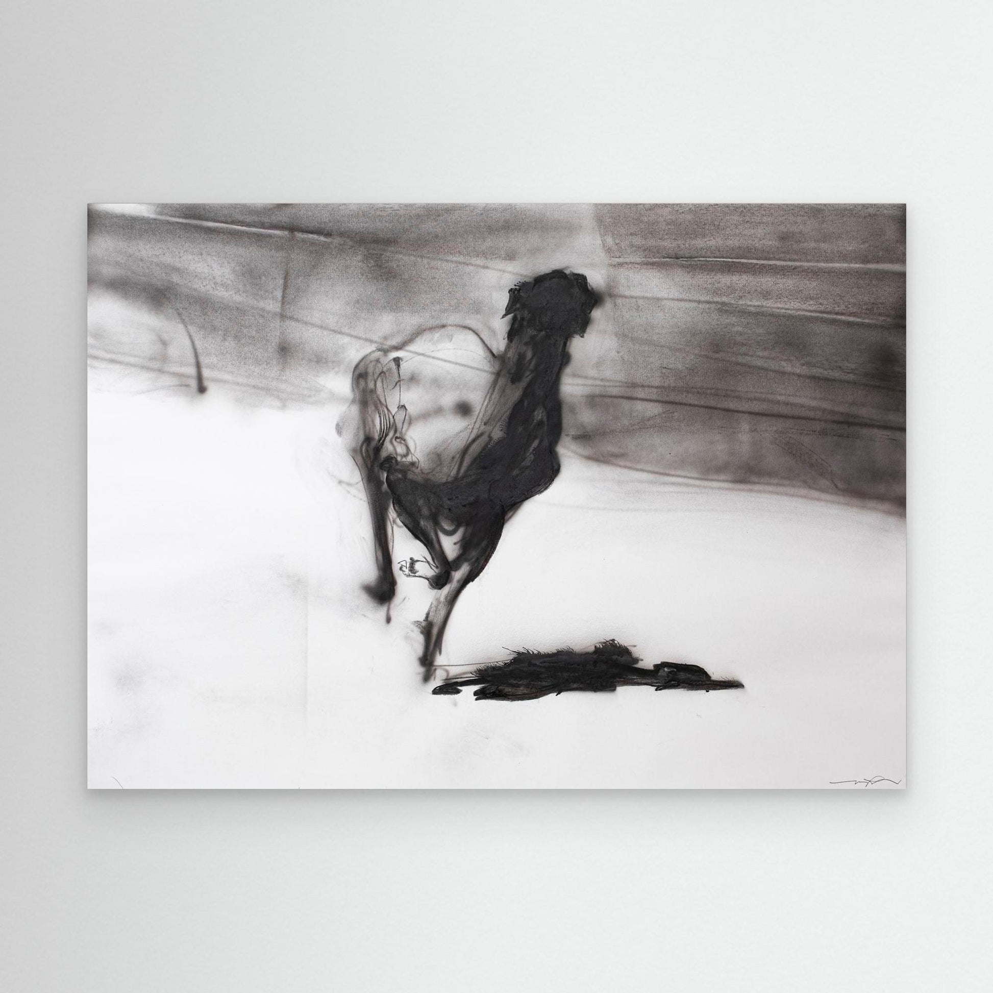 Galgos 9