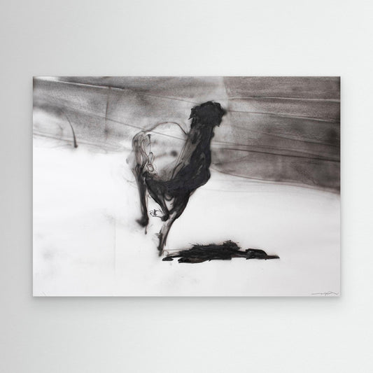 Galgos 9